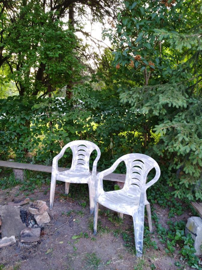 Dom Otwarty Apartment Jelenia Gora Bagian luar foto