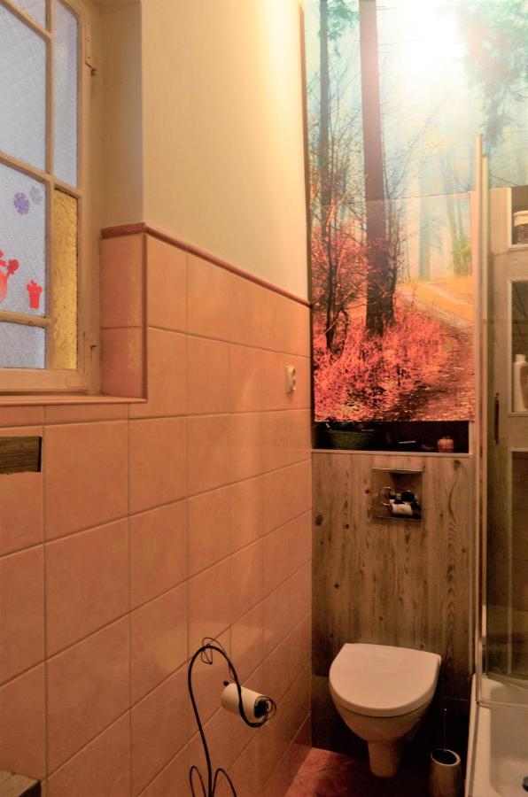 Dom Otwarty Apartment Jelenia Gora Bagian luar foto
