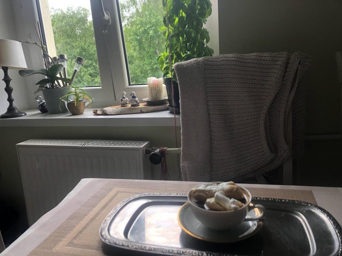 Dom Otwarty Apartment Jelenia Gora Bagian luar foto