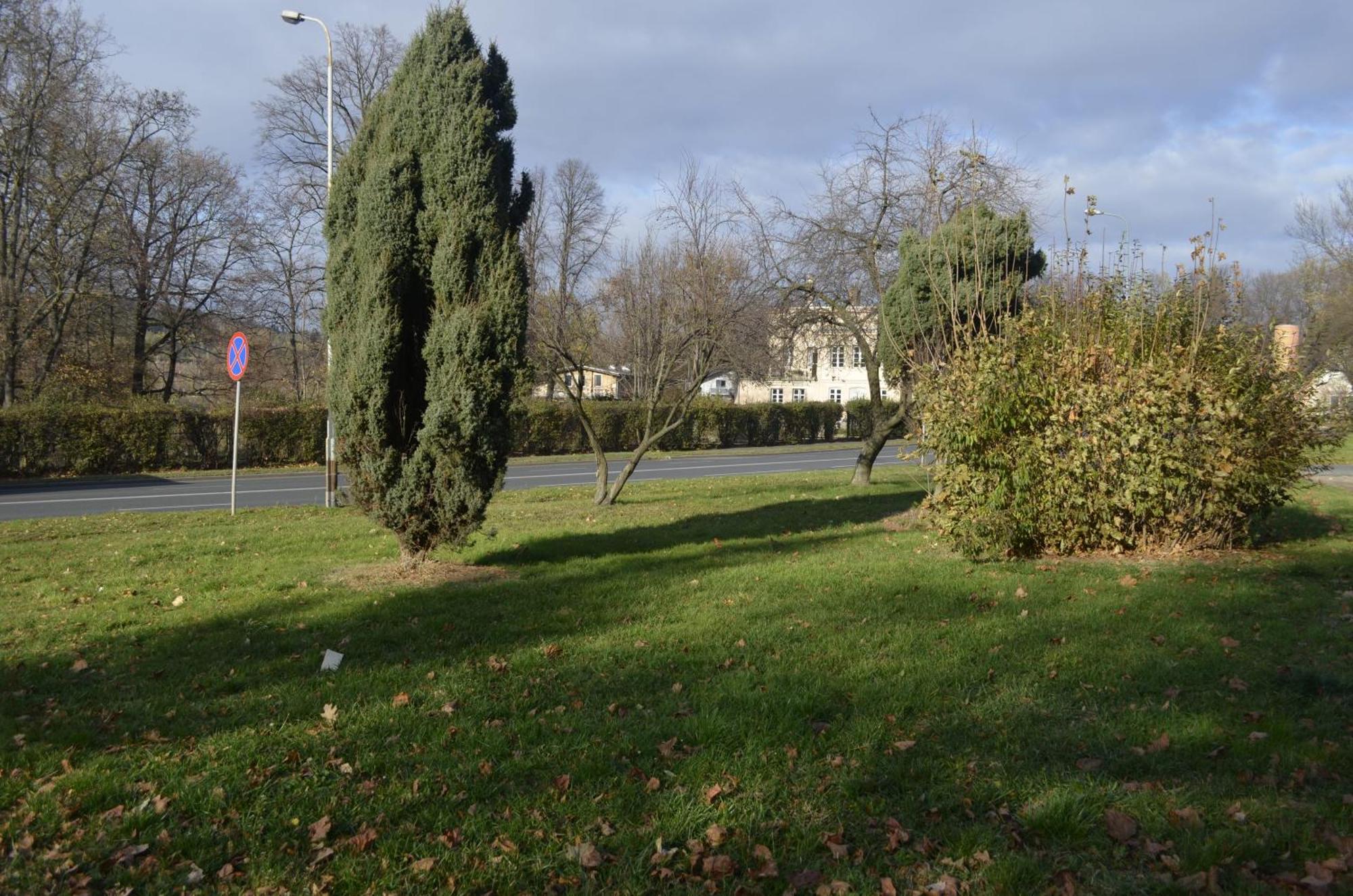 Dom Otwarty Apartment Jelenia Gora Bagian luar foto